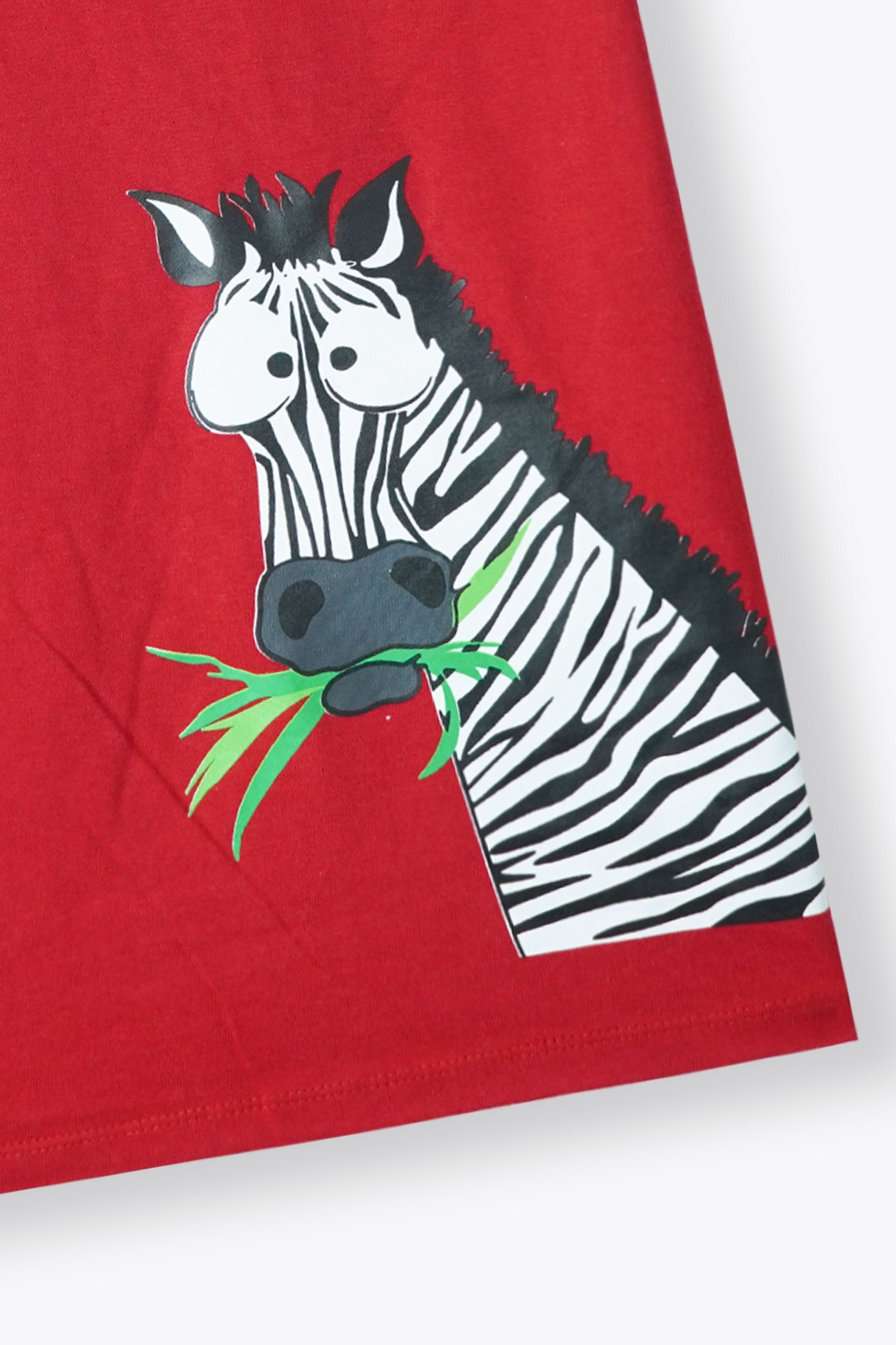 Boys Zebra Red T-Shirt & Zebra Print Shorts Set